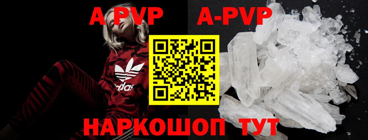 Alfa_PVP СК КРИС Семилуки