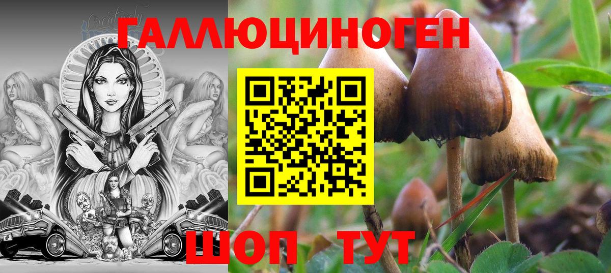 Псилоцибиновые грибы Magic Shrooms  Вход с VPN  Семилуки  Галлюциногенные грибы Psilocybine cubensis 